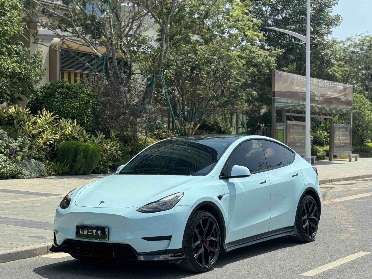 Tesla Model Y 2023 Tesla Model Y 2023 car image