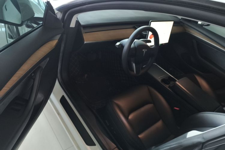 Tesla Model 3 2021 car image #16