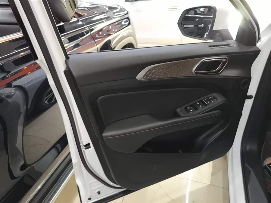 Haval Fierce Dragon 2024 car image #29