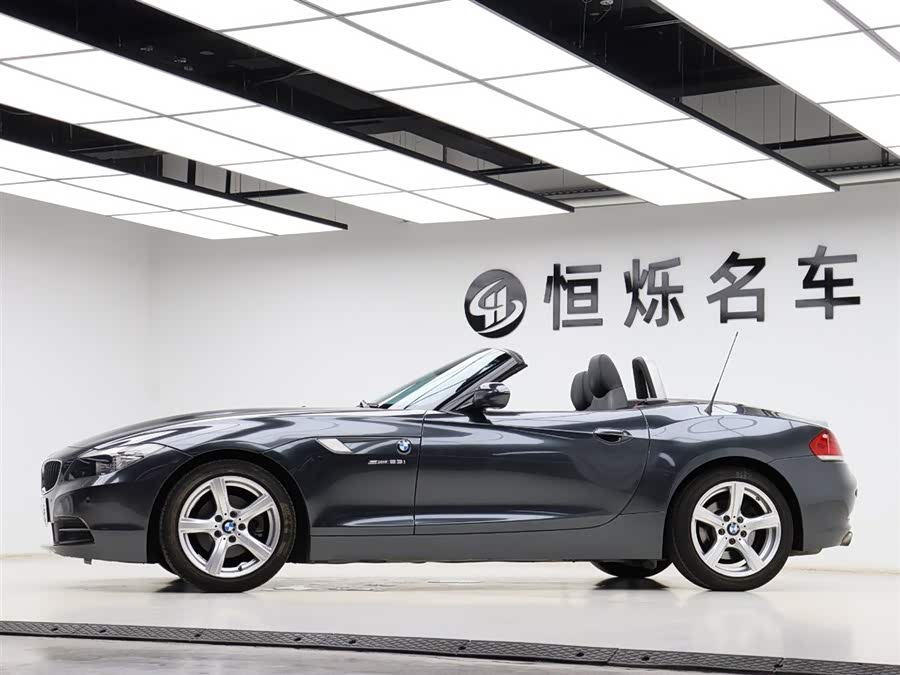 BMW Z4 2010 car image #29