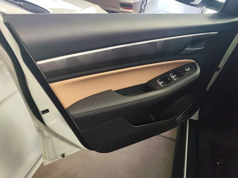 GEELY OkavangoPRO 2024 car image #29