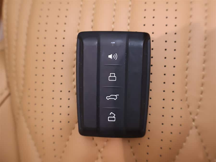 Tank 500 New Energy 2023 car image #29