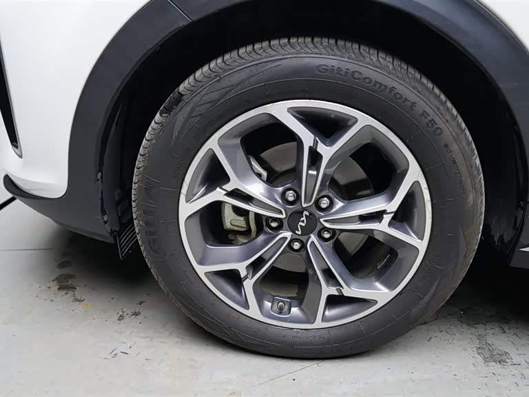 Kia KX5 2021 imagen de coche #29