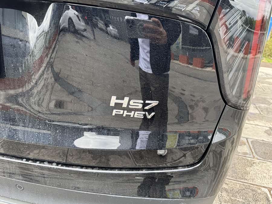 HongQi HS7 PHEV 2024 car image #29