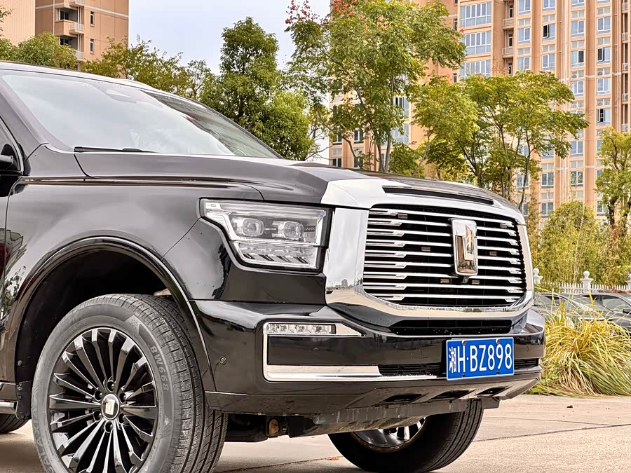 Tank 500 2022 imagen de coche #29