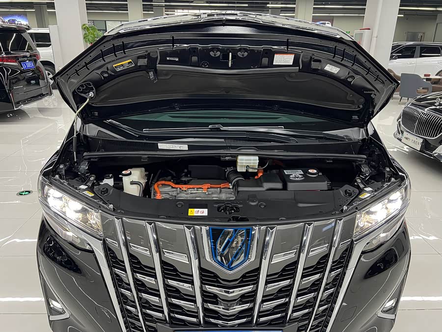 Toyota Alphard 2020 car image #29