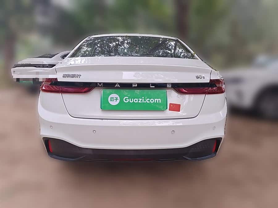 睿蓝汽车 枫叶60s 2023 汽车图片 #29