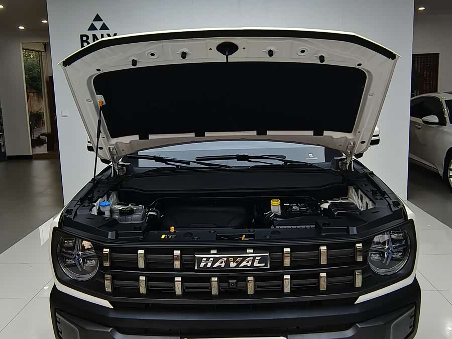 Haval Dargo 2023 #29 Haval Dargo 2023 car image #29