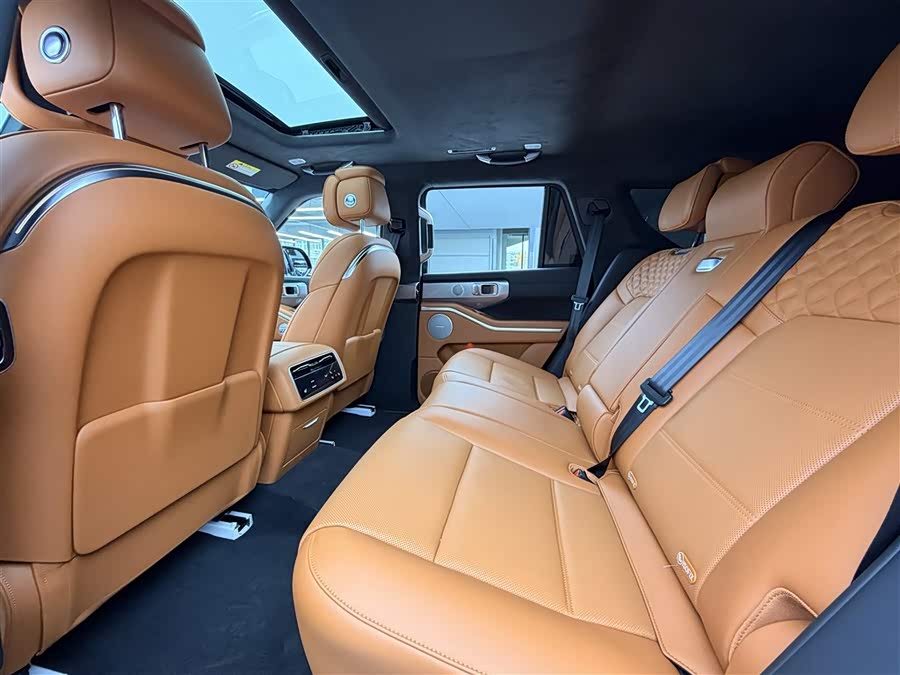 Tank 700 New Energy 2024 imagen de coche #29