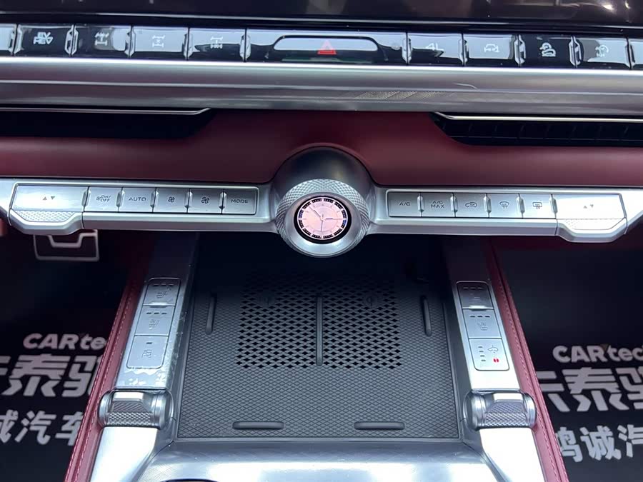 Tank 700 New Energy 2024 #29 Tank 700 New Energy 2024 imagen de coche #29