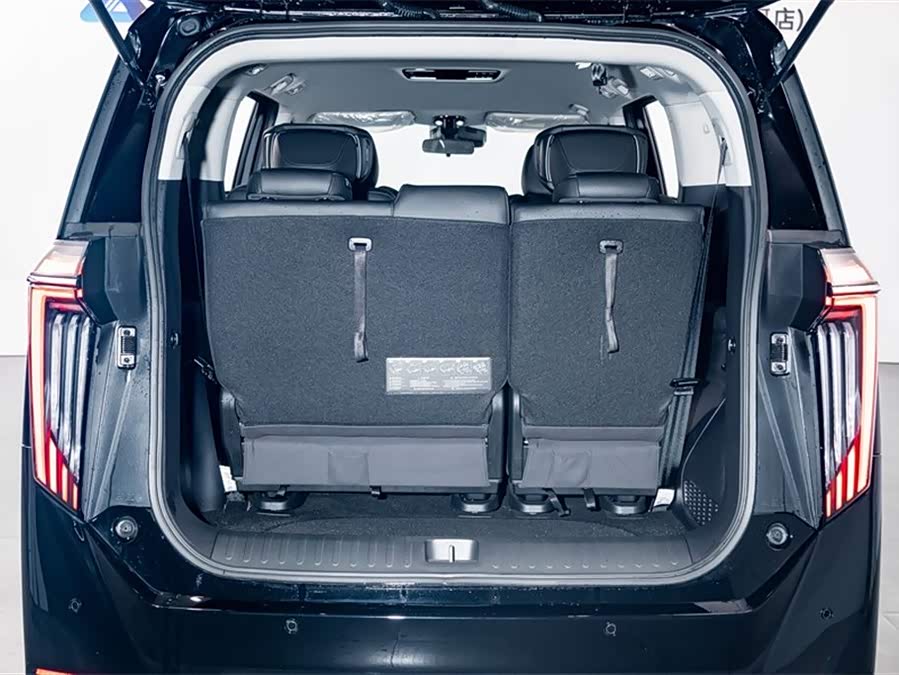 GAC Trumpchi E9 2024 car image #29