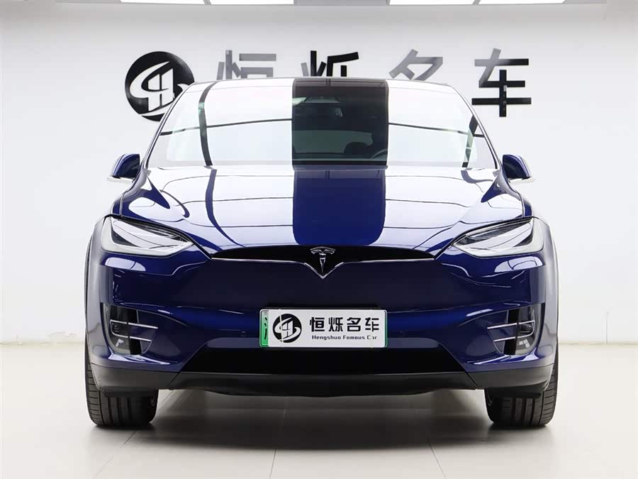 Tesla Model X 2017 car image #29