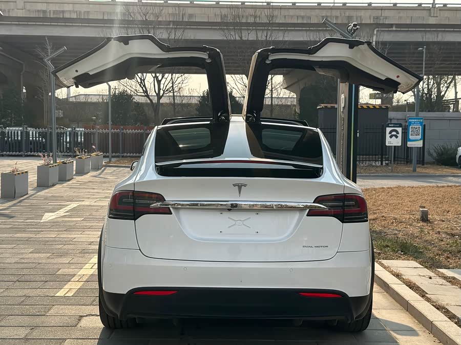 Tesla Model X 2020 #29 Tesla Model X 2020 car image #29