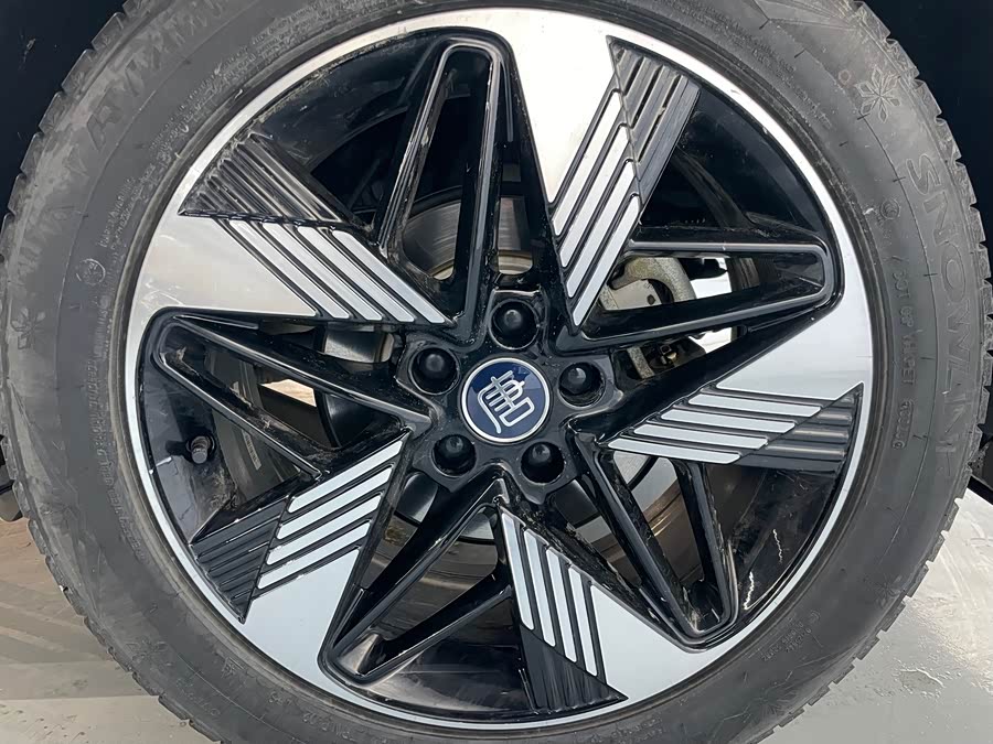 BYD Tang New Energy 2023 car image #29