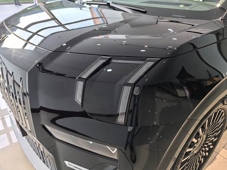 极氪 极氪009 2024 汽车图片 #29