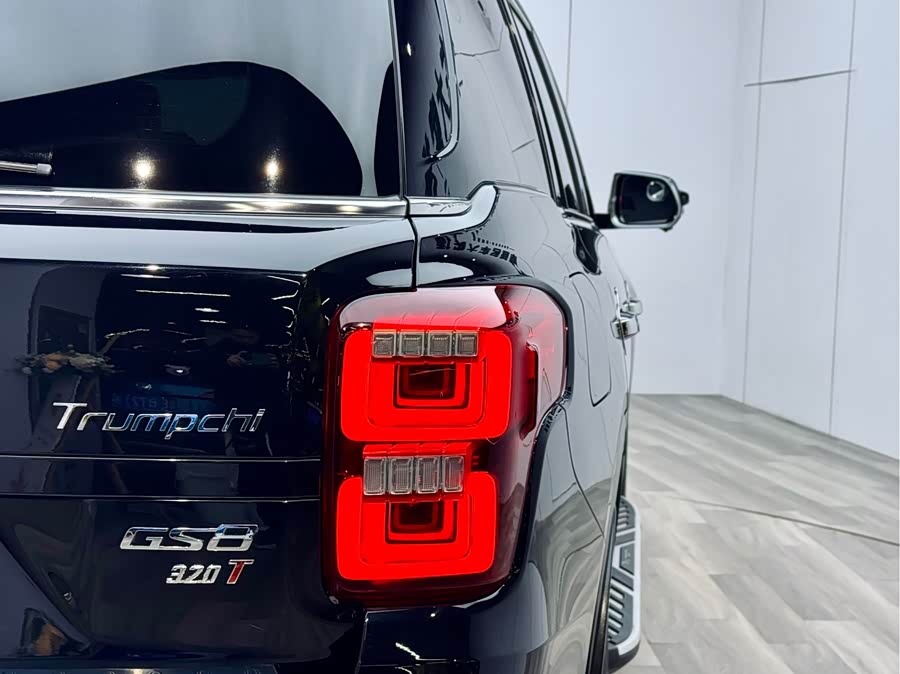 GAC Trumpchi GS8 2017 #29 GAC Trumpchi GS8 2017 car image #29