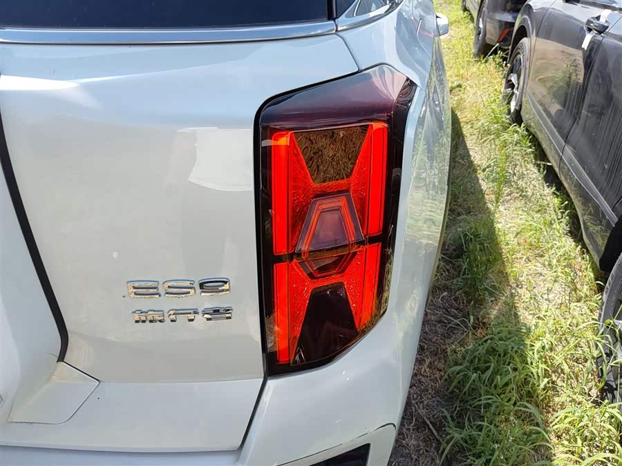 GAC Trumpchi ES9 2023 car image #29