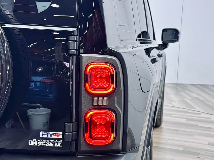 Haval Raptor New Energy 2023 car image #29