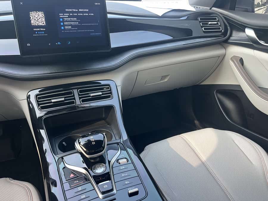 BYD Qin Plus 2024 immagine di auto #29