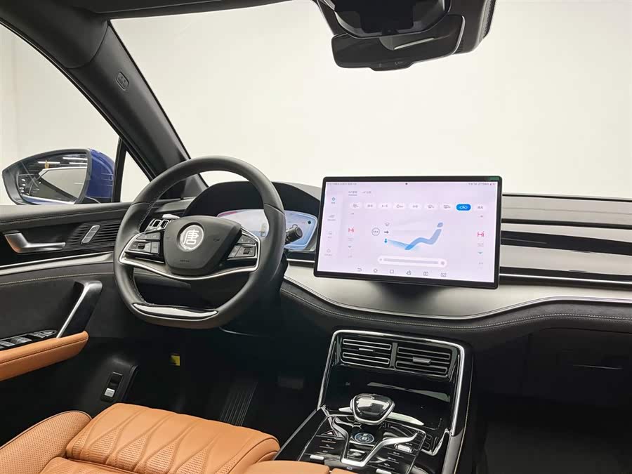 BYD Tang New Energy 2022 immagine di auto #29