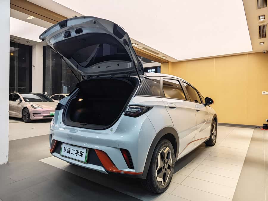 BYD Dolphin 2022 car image #29