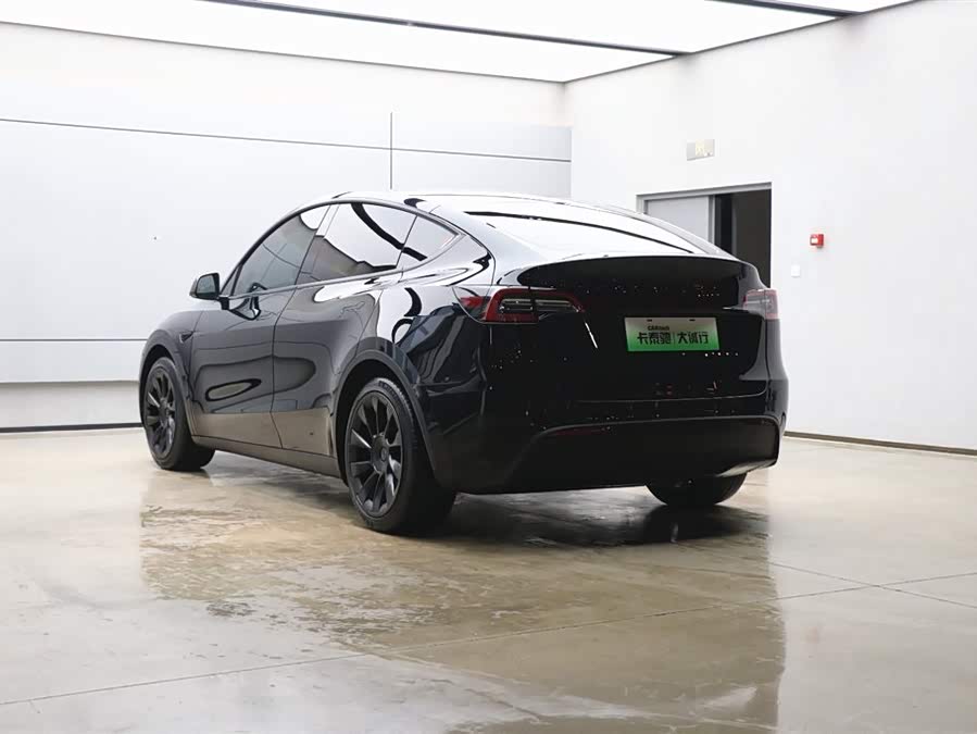 Tesla Model Y 2021 car image #29