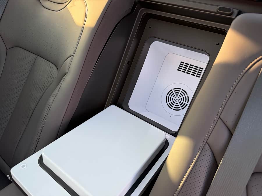 Denza Z9 2024 immagine di auto #29