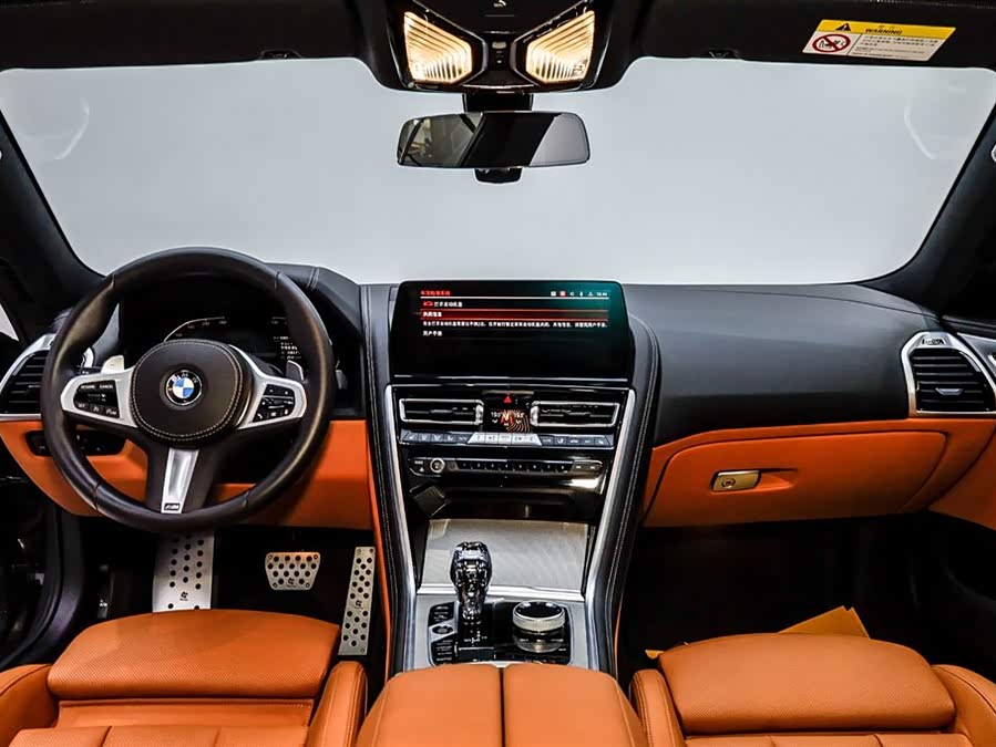 BMW 8 Series 2023 immagine di auto #29