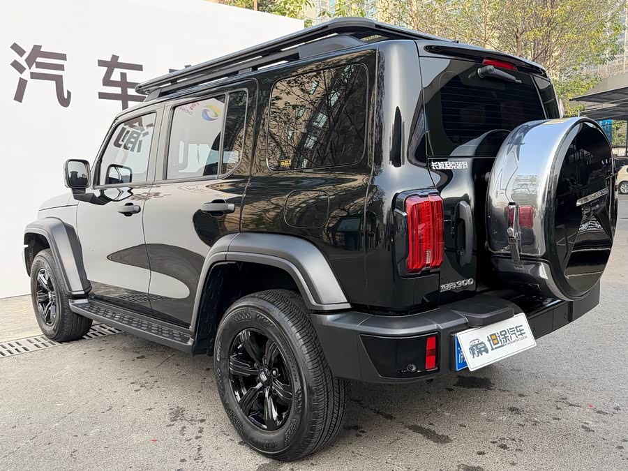 Tank 300 2023 car image #29