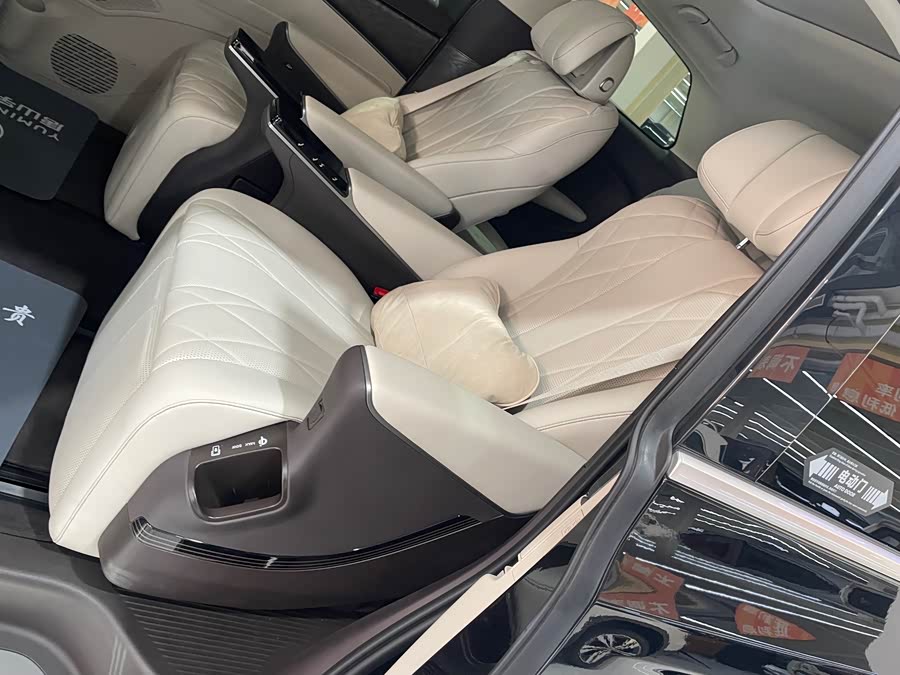 Denza D9 2025 imagen de coche #29