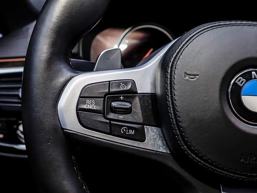 BMW 5 Series 2019 car image #29