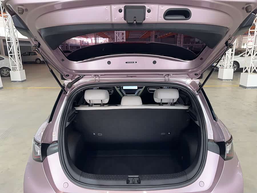 BYD Dolphin 2022 #29 BYD Dolphin 2022 immagine di auto #29