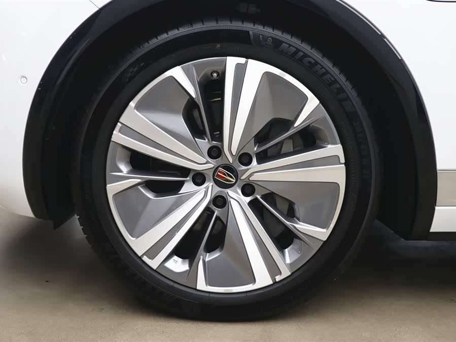 HongQi E-HS9 2023 изображение автомобиля #29