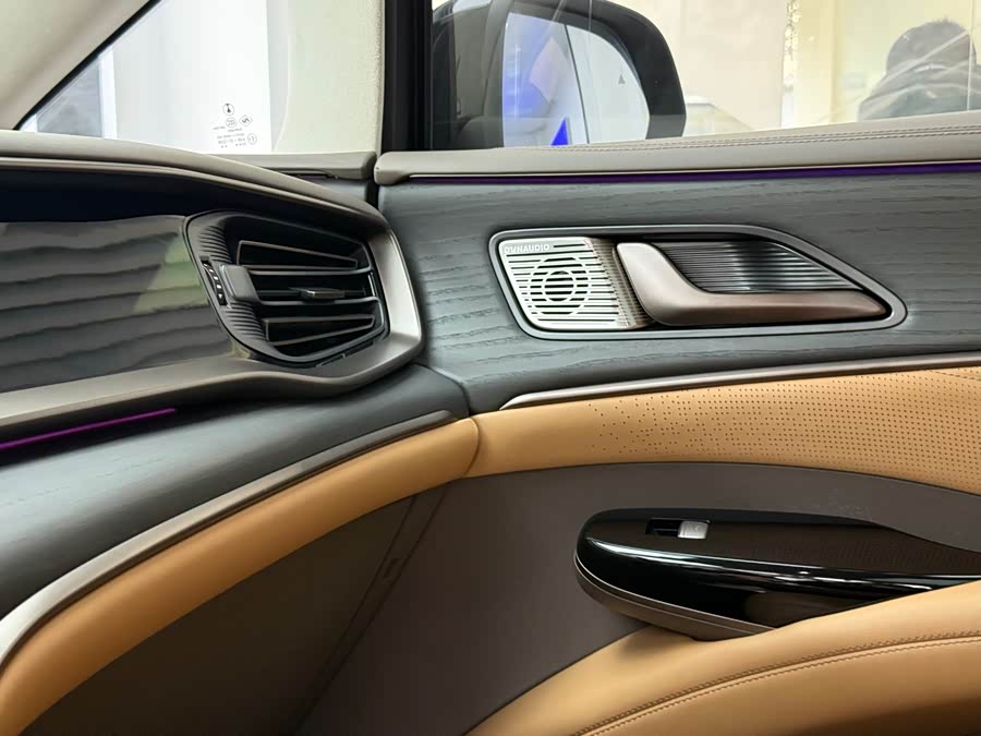 Denza D9 2023 car image #29