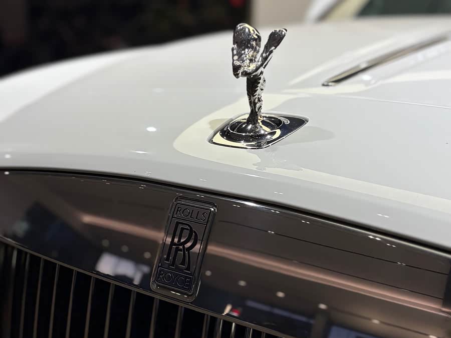 Denza Wraith 2020 car image #29