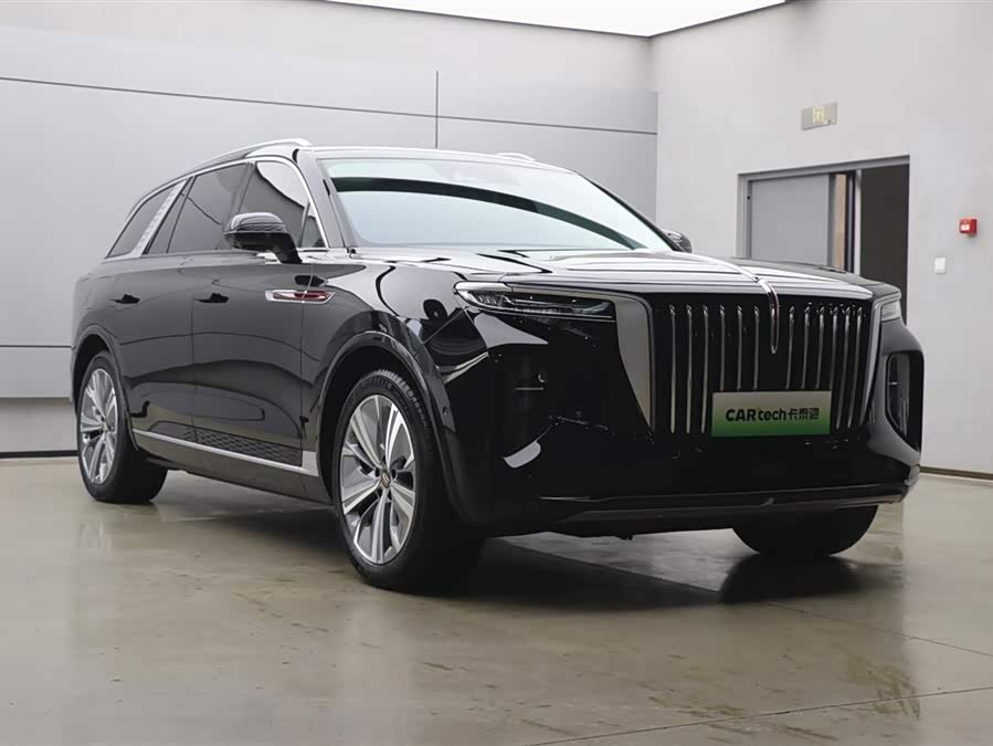HongQi E-HS9 2023 immagine di auto #29