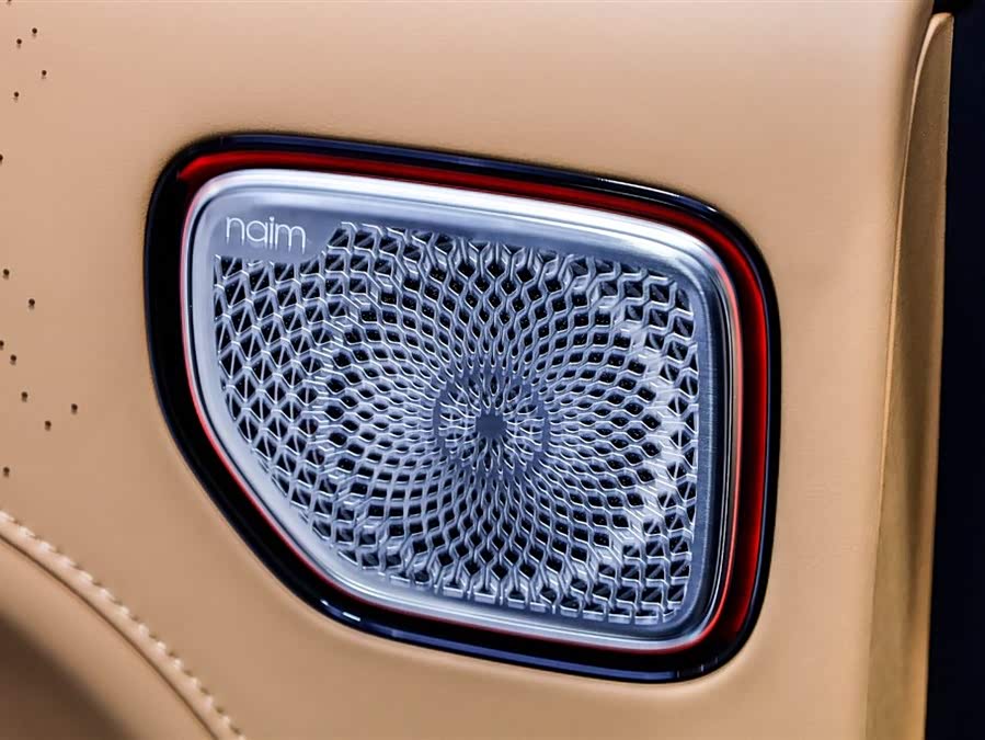 极氪 极氪9X 2026 汽车图片 #29