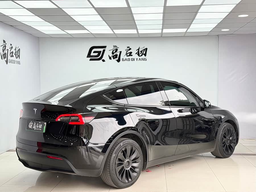 Tesla Model Y 2021 car image #29