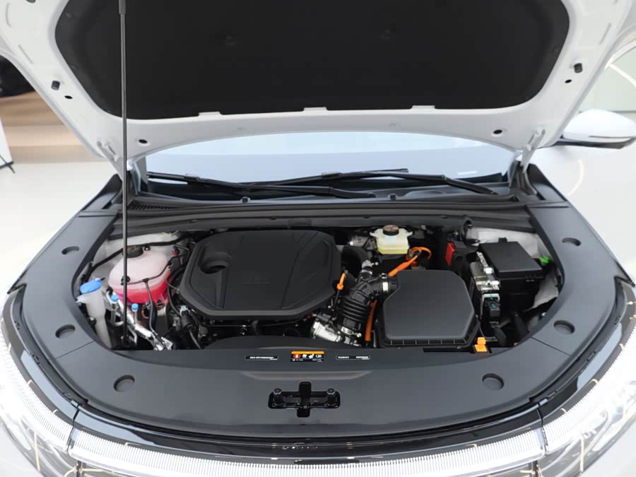GEELY 2025 immagine di auto #29