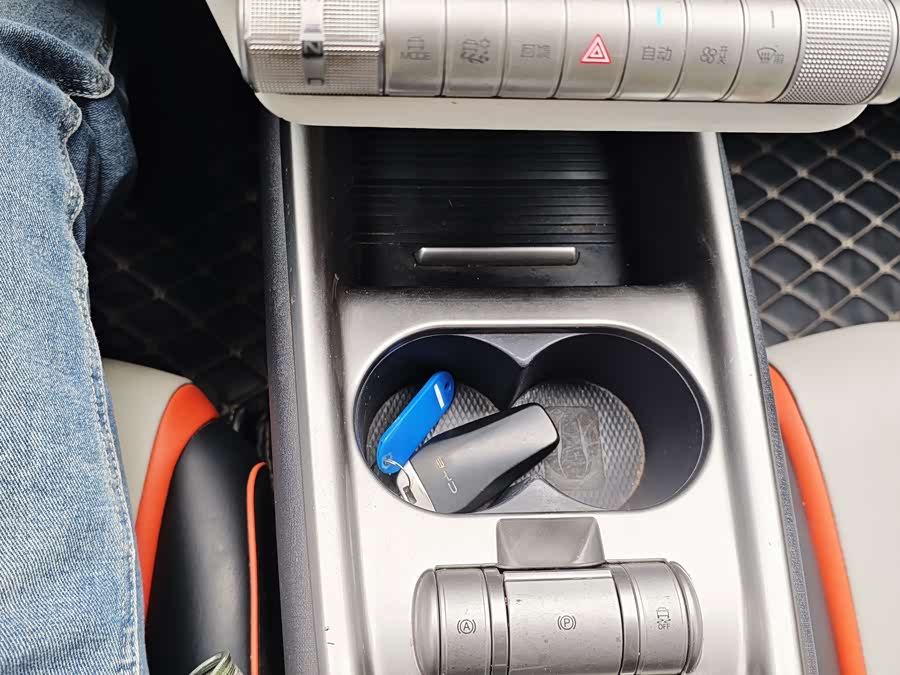 BYD Dolphin 2021 imagen de coche #29