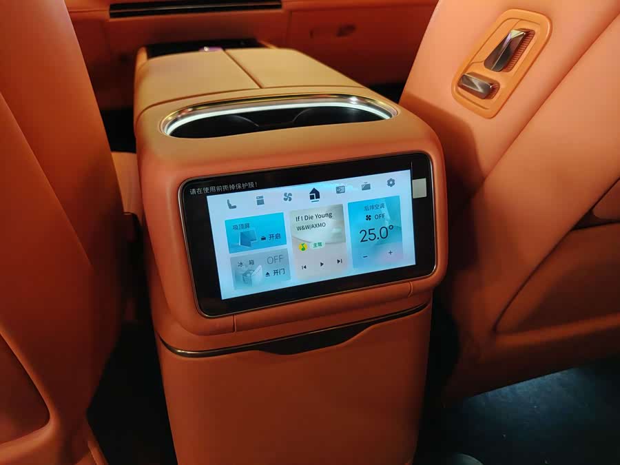 Lynk & Co 900 2025 car image #29