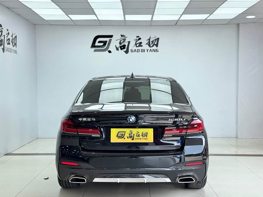 BMW 5 Series 2022 car image #29