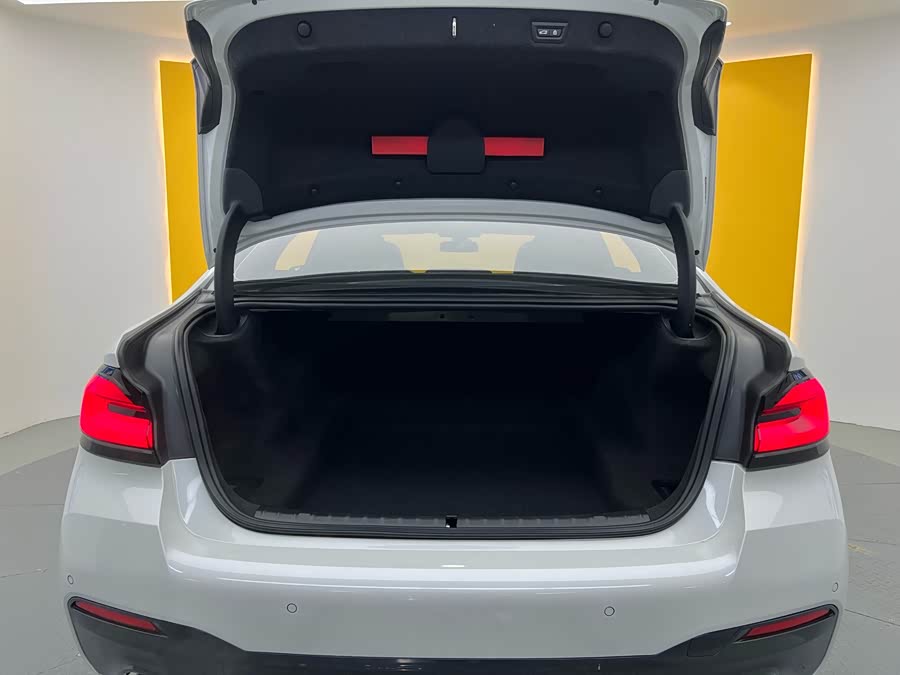 BMW 5 Series 2022 car image #29