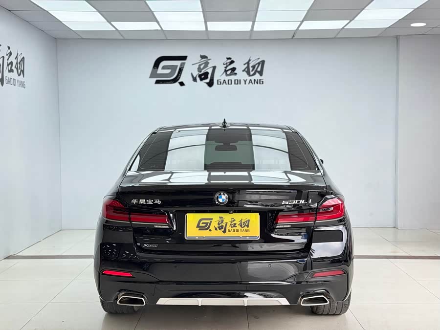 BMW 5 Series 2020 immagine di auto #29