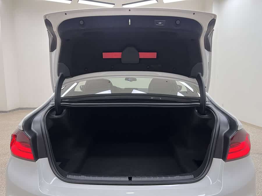 BMW 5 Series 2019 car image #29