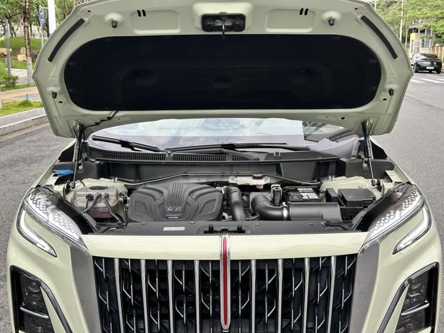 HongQi HS3 2023 #29 HongQi HS3 2023 صورة سيارة #29