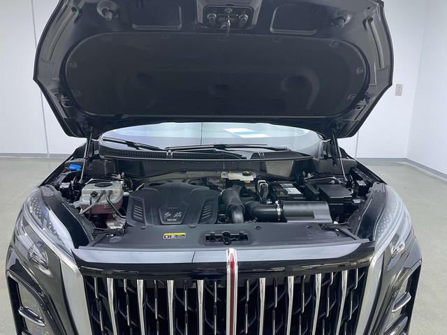 HongQi HS3 2024 car image #29