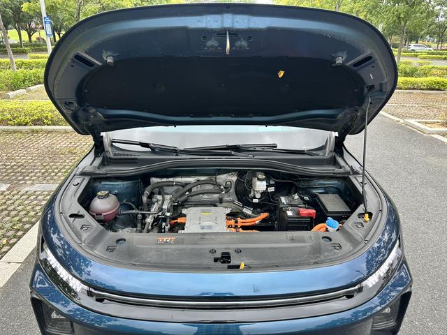 睿蓝汽车 睿蓝9 2023 汽车图片 #29