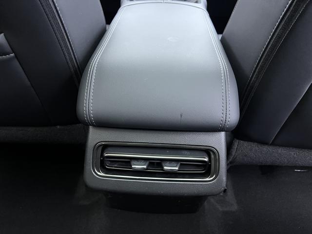 Haval Raptor New Energy 2024 car image #29