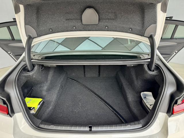 BMW 5 Series (Imported) 2020 car image #29